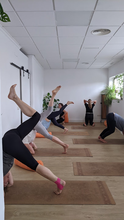 Taronja Wellbeing Centre - Yoga, Pilates, Therapies - Formación Continua Profesores de Yoga Altea. Las Torres de Cotillas